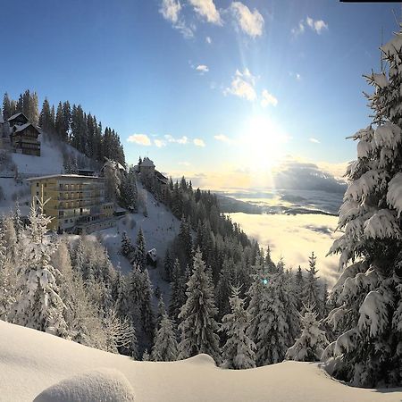 Sonnenhotel Zaubek Treffen Luaran gambar